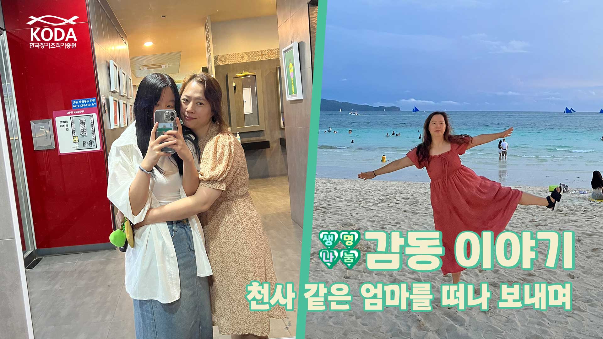 천사 같은 엄마를 떠나 보내며  ｢생명나눔 감동 이야기 이지혜 님 편｣