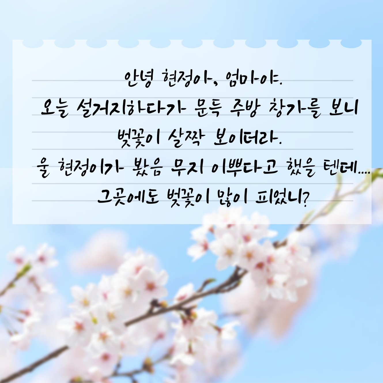 [생명나눔 사례집] '별이 빛나는 밤에'_노현정님 이야기